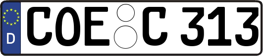 COE-C313