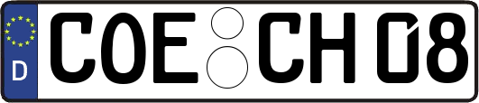 COE-CH08