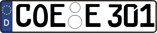 COE-E301