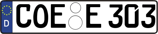 COE-E303