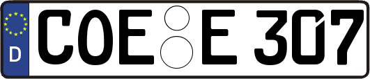 COE-E307