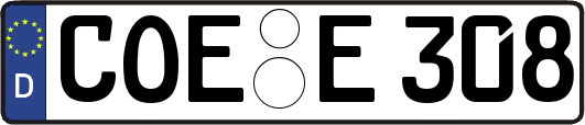 COE-E308