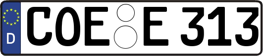 COE-E313