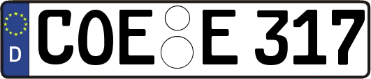 COE-E317