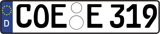 COE-E319