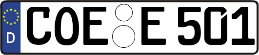 COE-E501