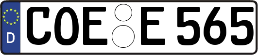 COE-E565