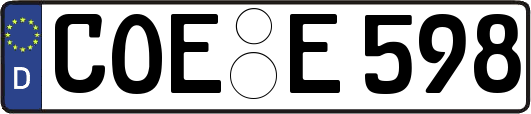 COE-E598