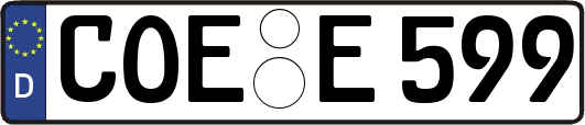 COE-E599