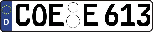 COE-E613