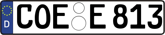 COE-E813
