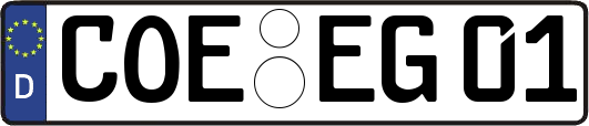COE-EG01
