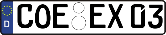COE-EX03
