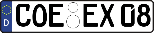 COE-EX08