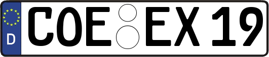 COE-EX19