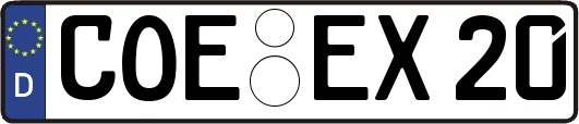 COE-EX20