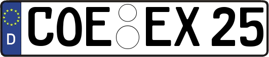 COE-EX25