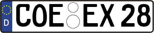 COE-EX28