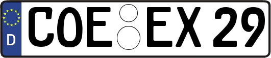 COE-EX29
