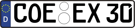 COE-EX30