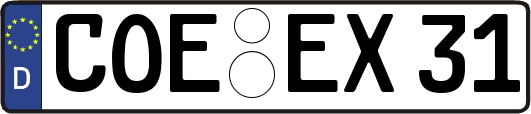 COE-EX31