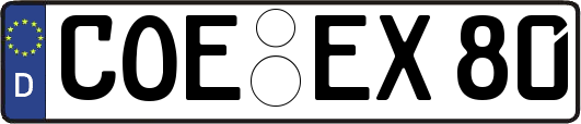 COE-EX80
