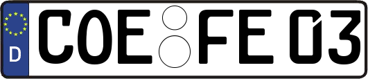 COE-FE03