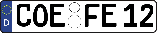 COE-FE12