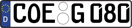 COE-G080