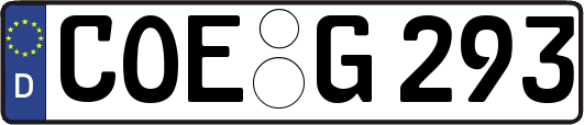 COE-G293