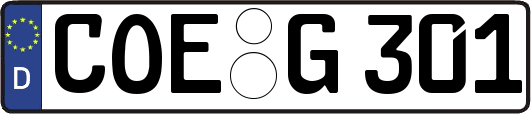 COE-G301