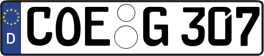 COE-G307