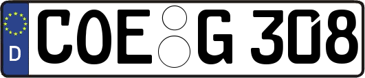 COE-G308