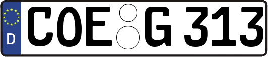 COE-G313