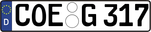 COE-G317