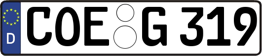 COE-G319