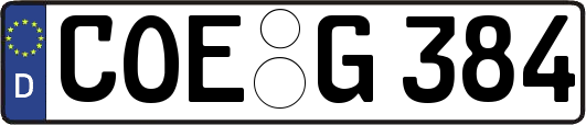 COE-G384