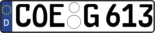 COE-G613