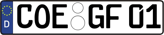 COE-GF01