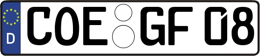 COE-GF08
