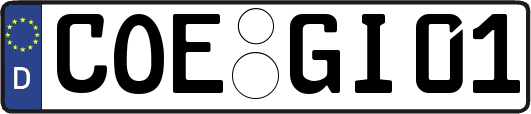 COE-GI01