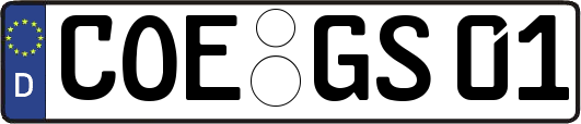 COE-GS01