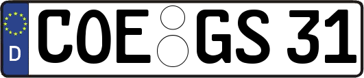 COE-GS31