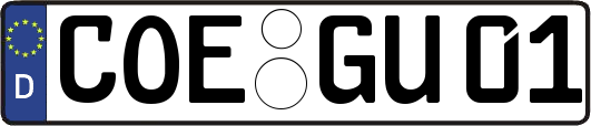 COE-GU01