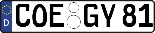 COE-GY81