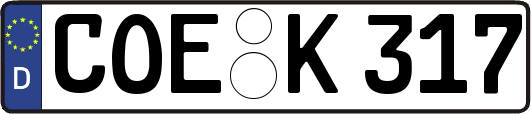 COE-K317