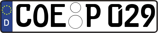 COE-P029