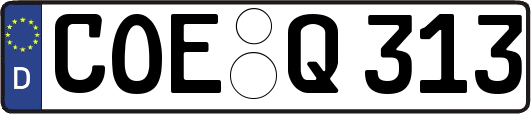 COE-Q313