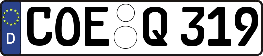 COE-Q319