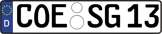 COE-SG13
